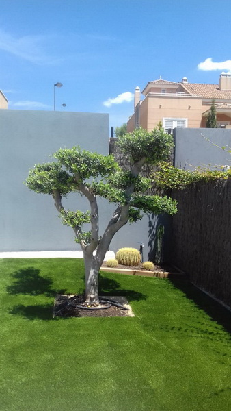 Instalación de césped artificial por Robert Jardineros